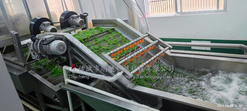桑芽菜清洗漂燙流水線 (3).jpg