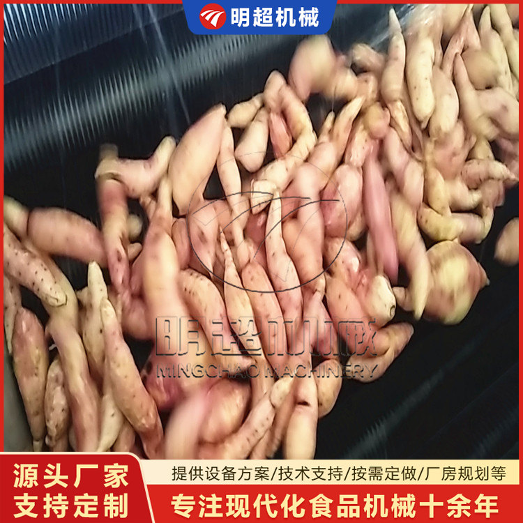 紅薯去泥沙清洗機(jī)