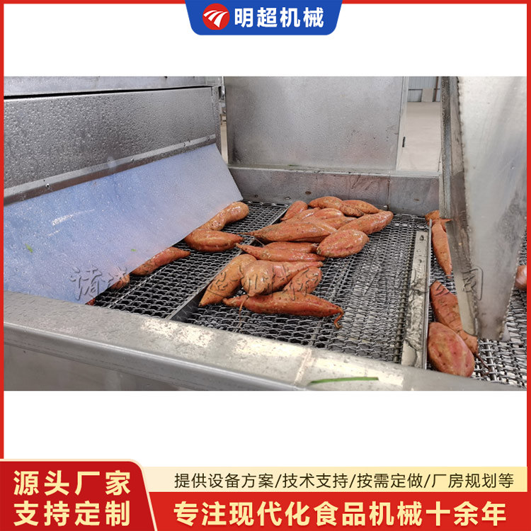 紅薯清洗機(jī)-球莖類泥沙清洗設(shè)備