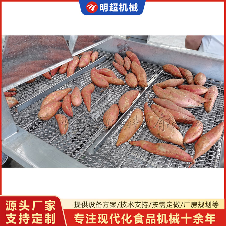 紅薯清洗機(jī)-球莖類泥沙清洗設(shè)備