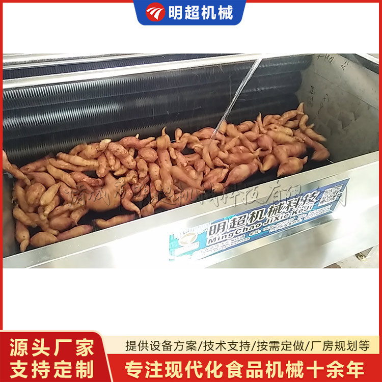 紅薯清洗機-球莖類泥沙清洗設備