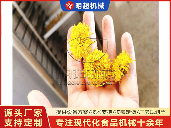 菊花烘干機